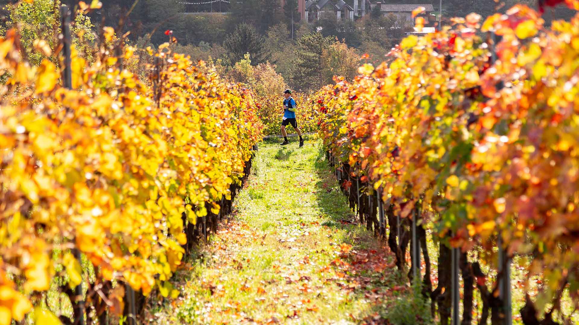 LIVE2 | Valle dei segni wine trail  